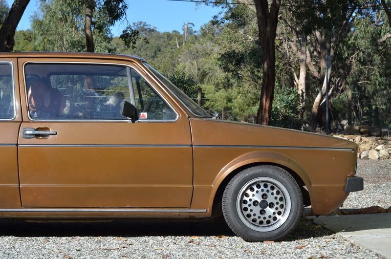 76' Saluki Brown Golf