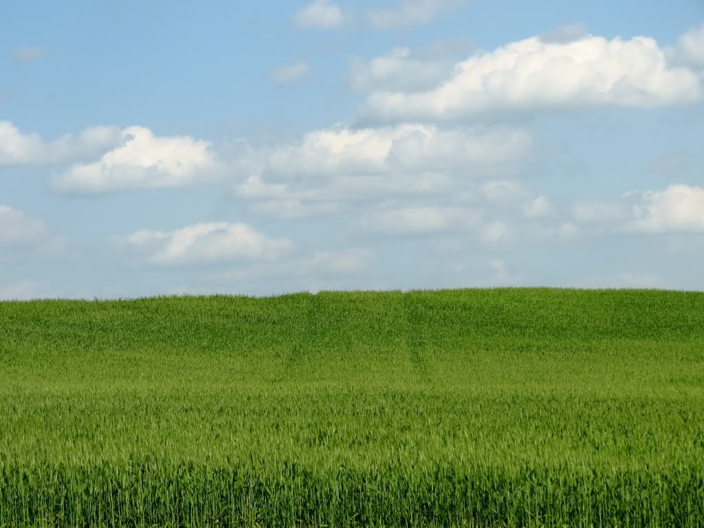 IMAGE: http://i904.photobucket.com/albums/ac241/pmcdonald851/2012/IMG_1150.jpg