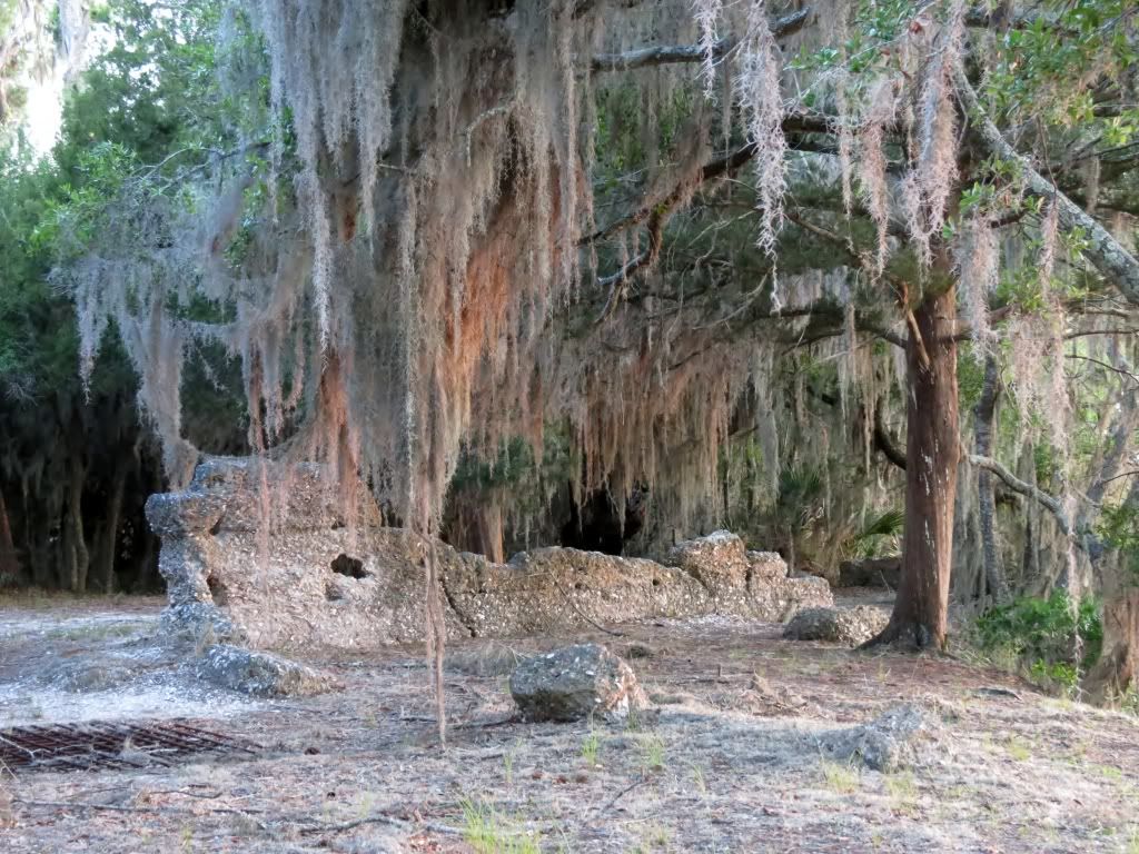 IMAGE: http://i904.photobucket.com/albums/ac241/pmcdonald851/2012/IMG_2076.jpg