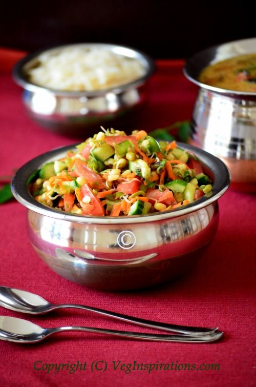Sprouted Mung Bean Salad ~ Moong dhal salad