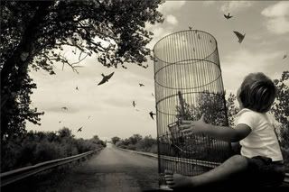 Photography Pictures, Images and Photos