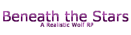 Beneath the Stars