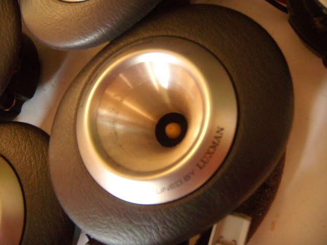 DSCN5982.jpg