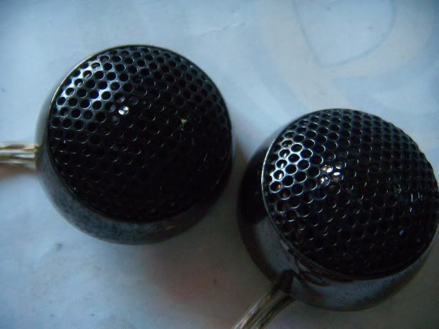 DSCN6260.jpg