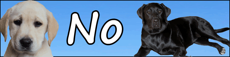 No Sin Mi Perro