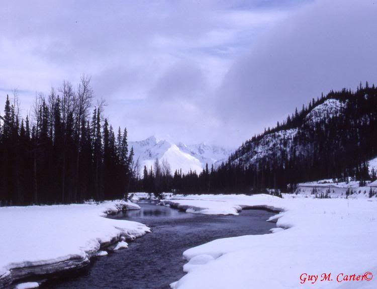  photo MTSCC.jpg