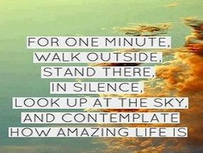 Quotes About Amazing Life