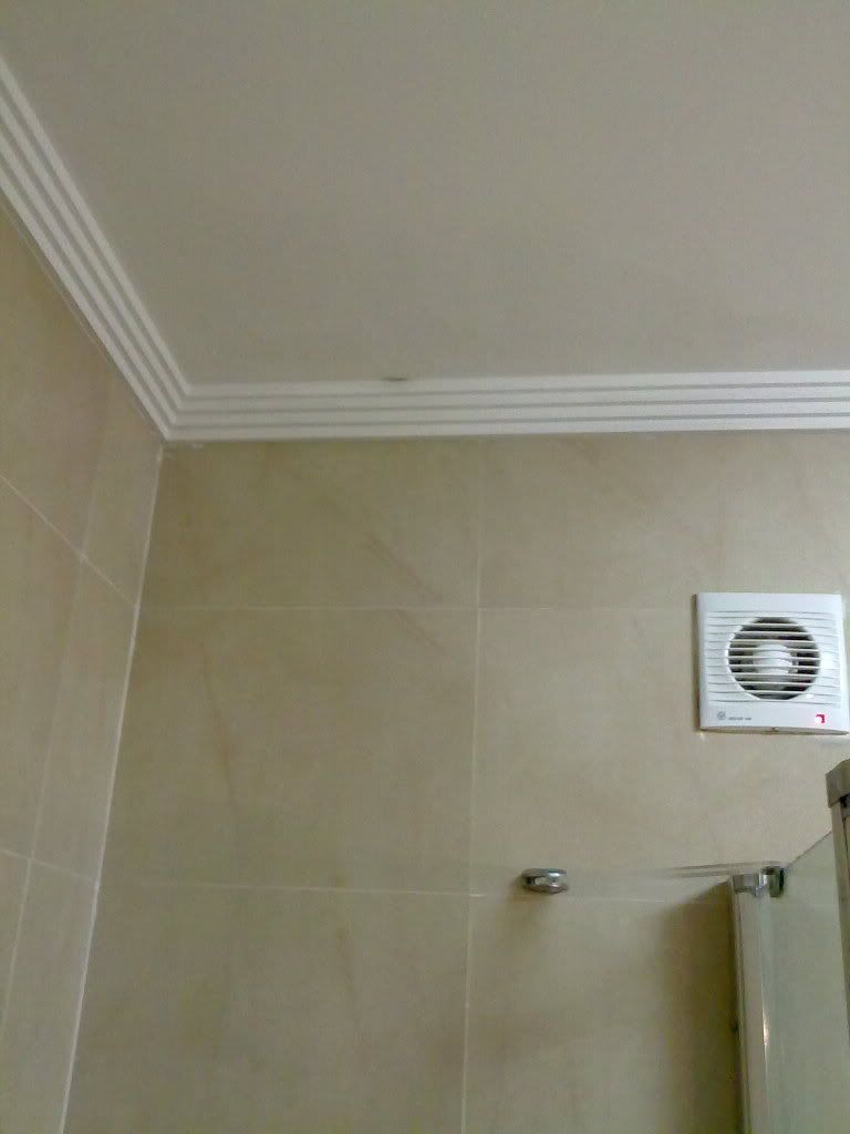 Tecto 1
