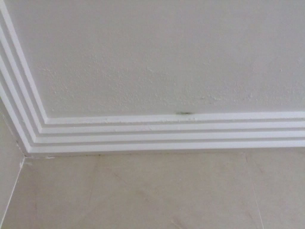 Tecto 2
