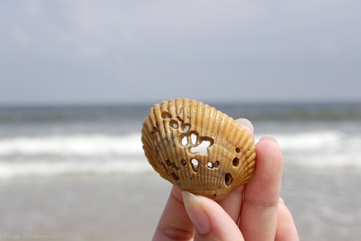 photo jacksonville1_zpseuhbr043.jpg