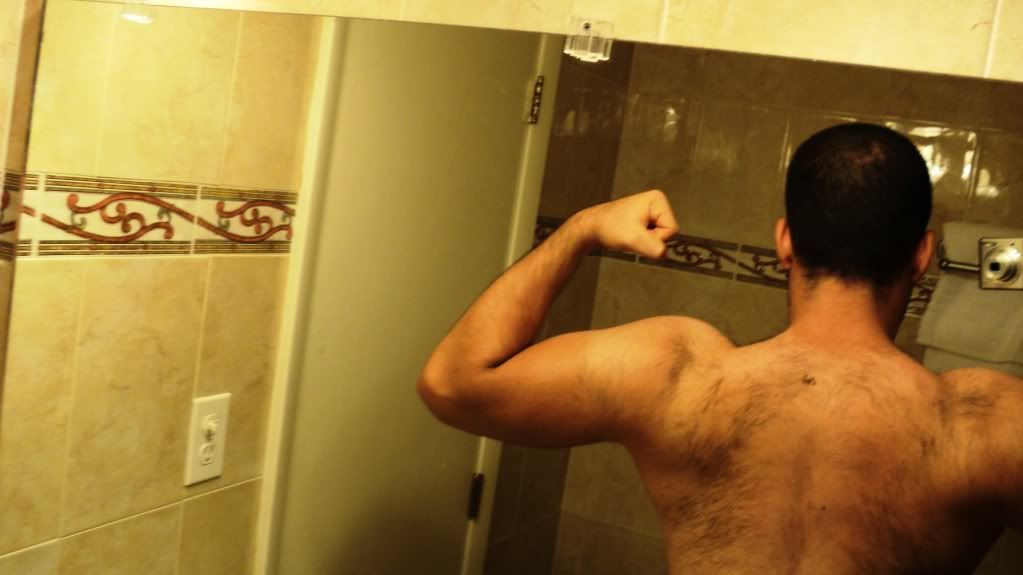 (Evolución) 8 meses en el gym