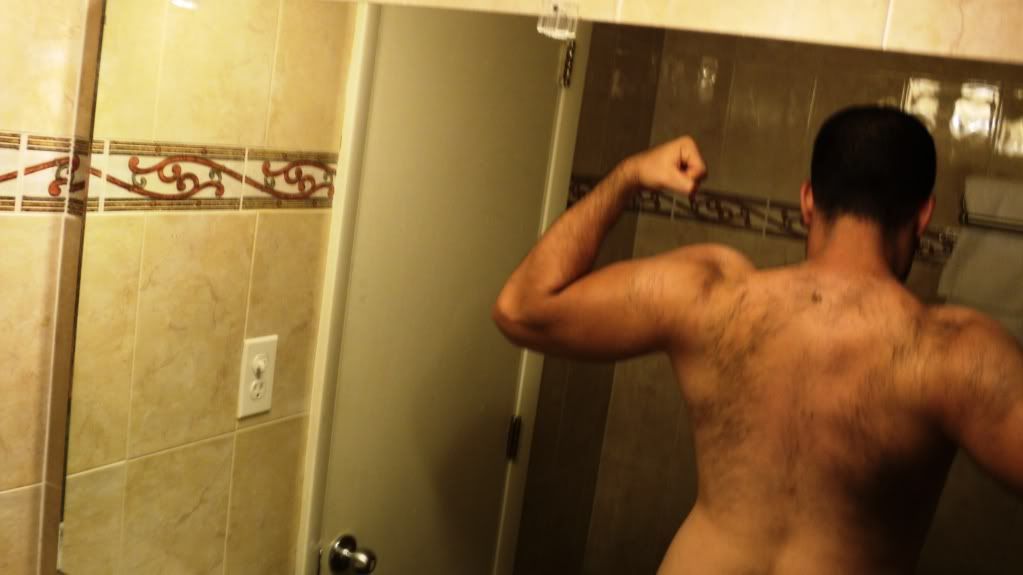 (Evolución) 8 meses en el gym