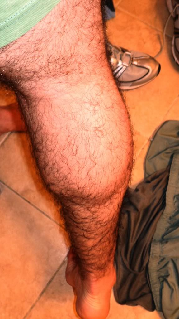(Evolución) 8 meses en el gym