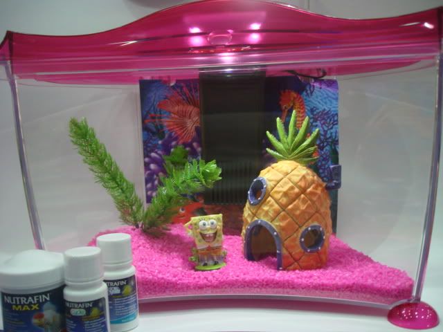 Pecera Bob Esponja Pecera Bob Esponja