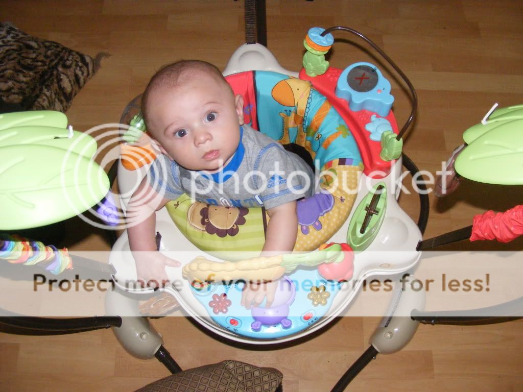 exersaucer vs jumperoo difference