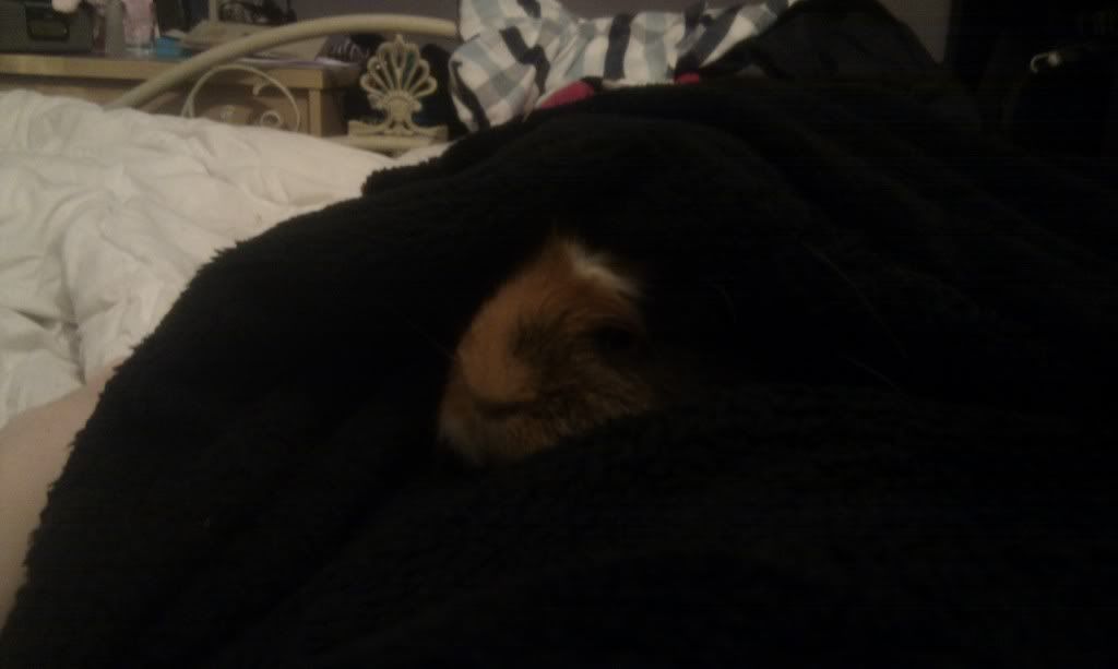 IMAG0368.jpg
