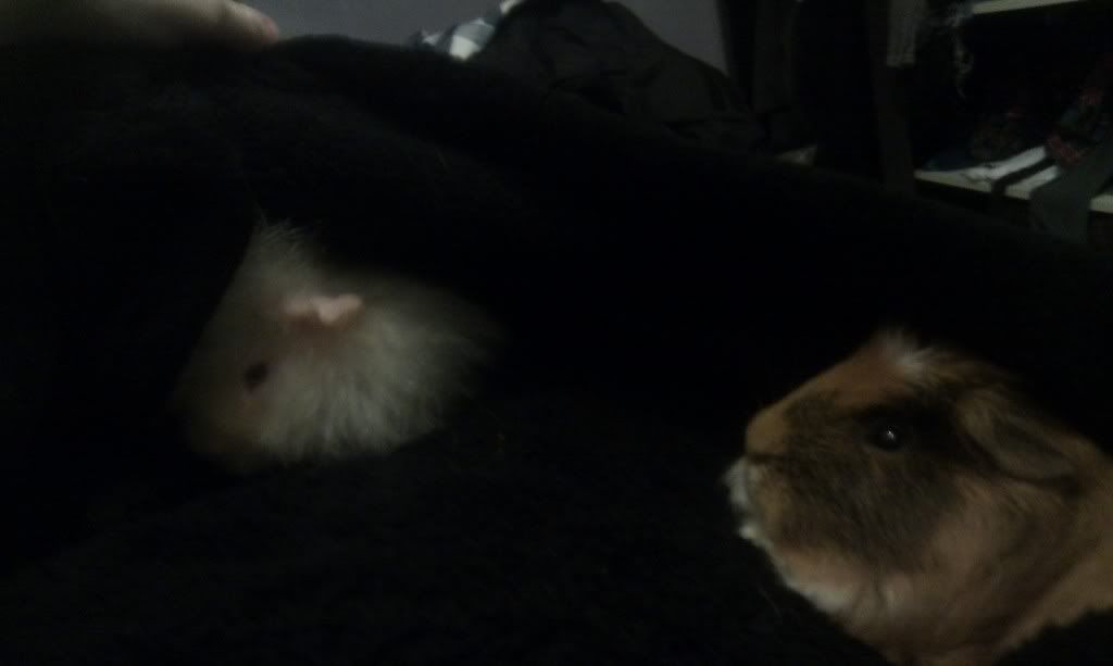IMAG0373.jpg