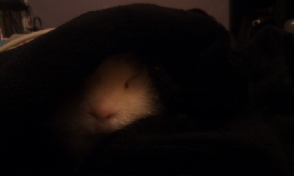 IMAG0375.jpg