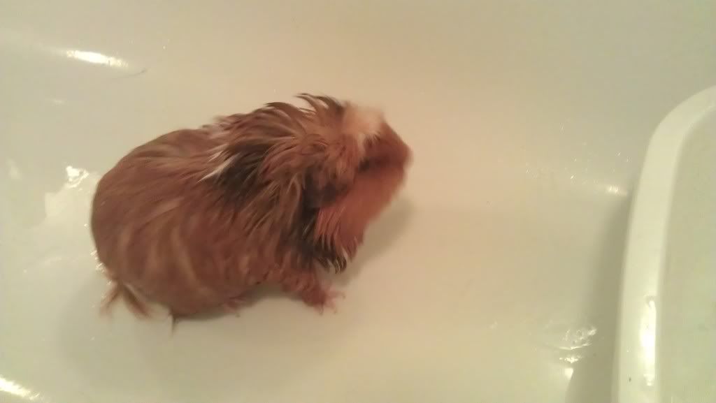 lostinthebath.jpg