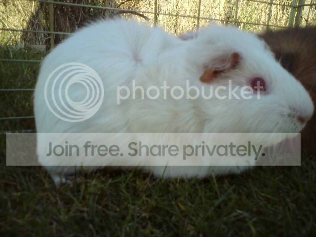 DSC00003.jpg