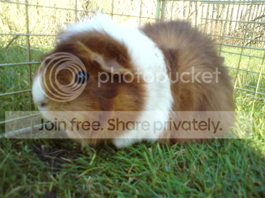 DSC00004.jpg