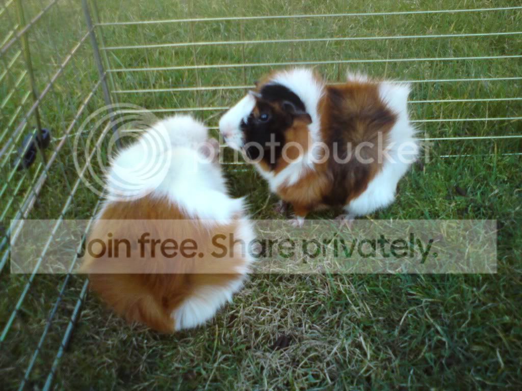 DSC00037.jpg