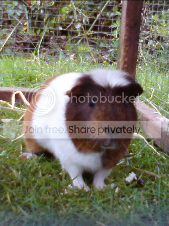 DSC00076.jpg