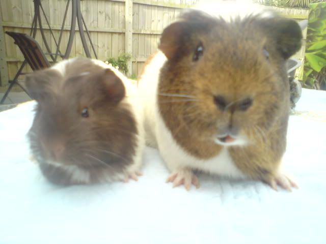 DSC00126.jpg
