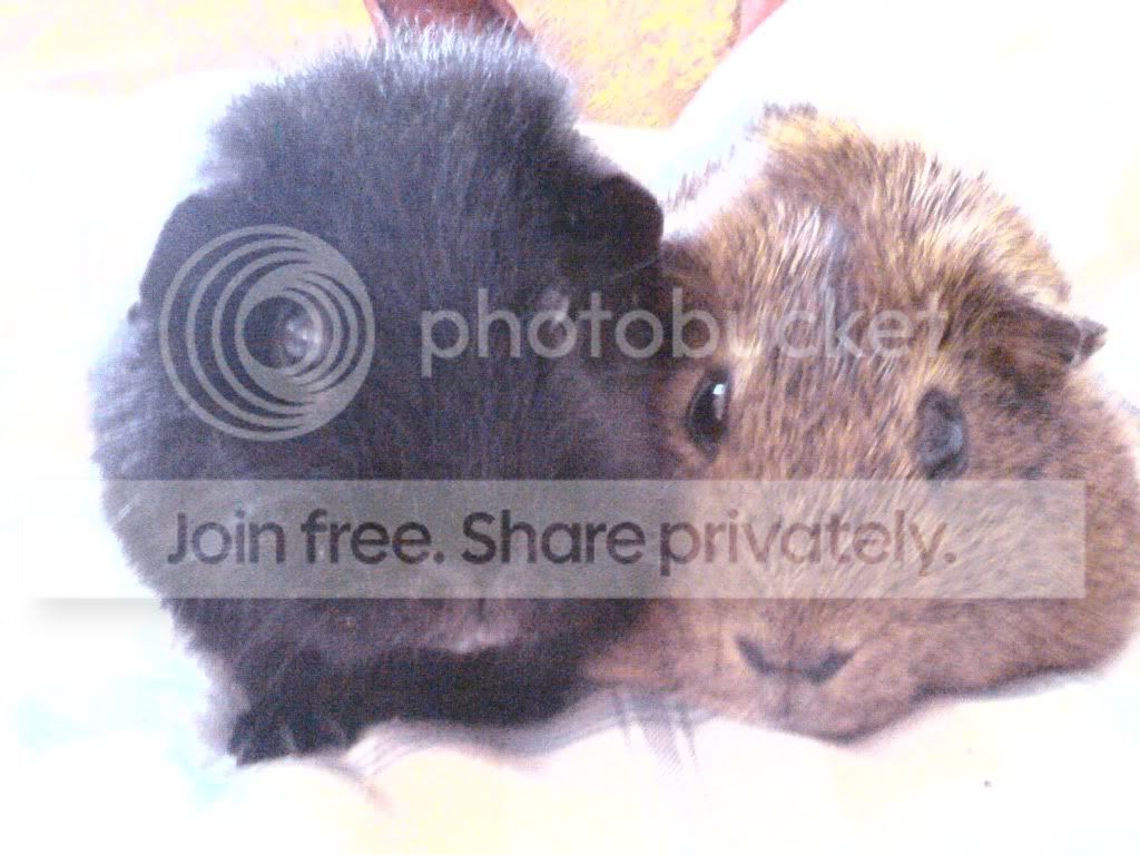 DSC00155.jpg